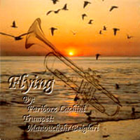 Fariborz Lachini - Flying