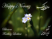 Blossom - Solo Piano by Fariborz Lachini